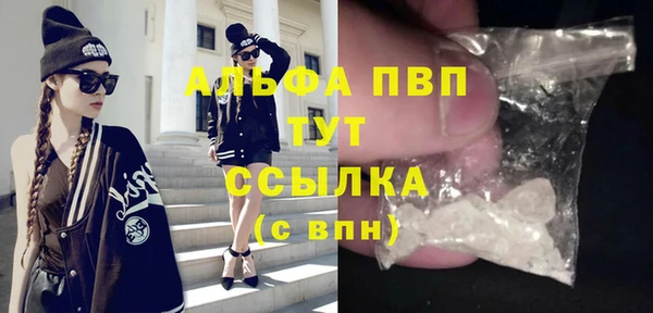 сатива Белоозёрский