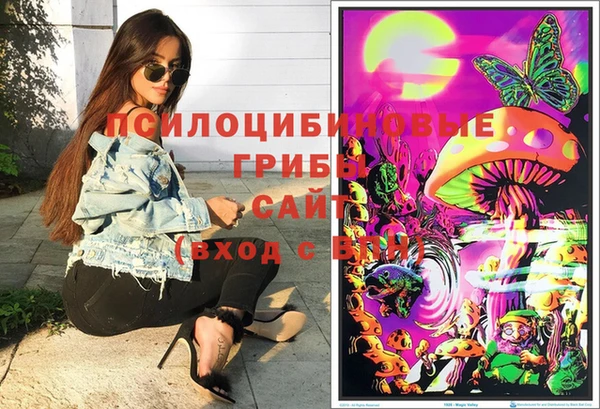 шишки Белокуриха