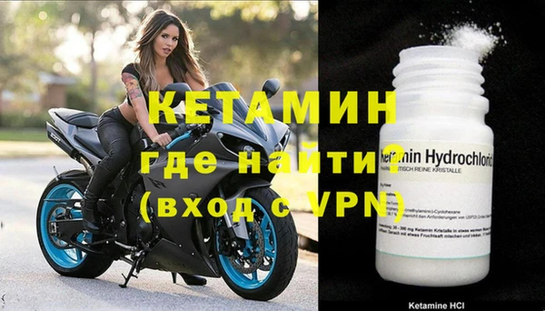 шишки Белокуриха