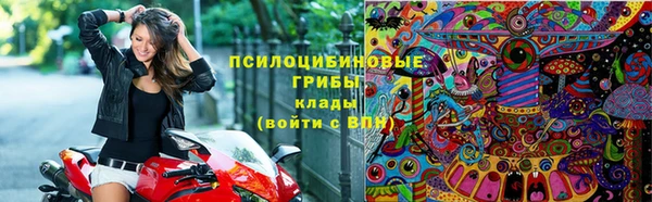 молекула духа Балахна