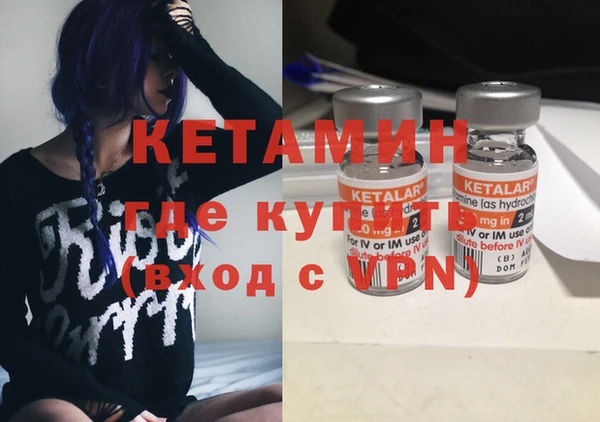 шишки Белокуриха