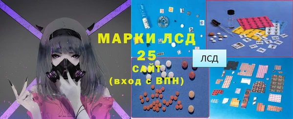 шишки Белокуриха