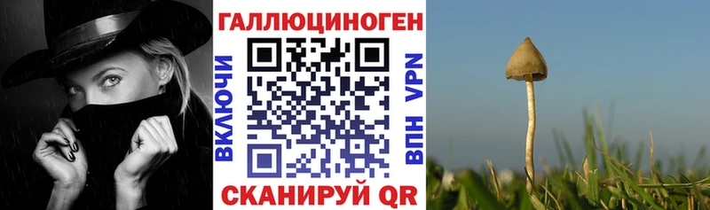 Псилоцибиновые грибы прущие грибы shop клад Лабинск дарнет шоп